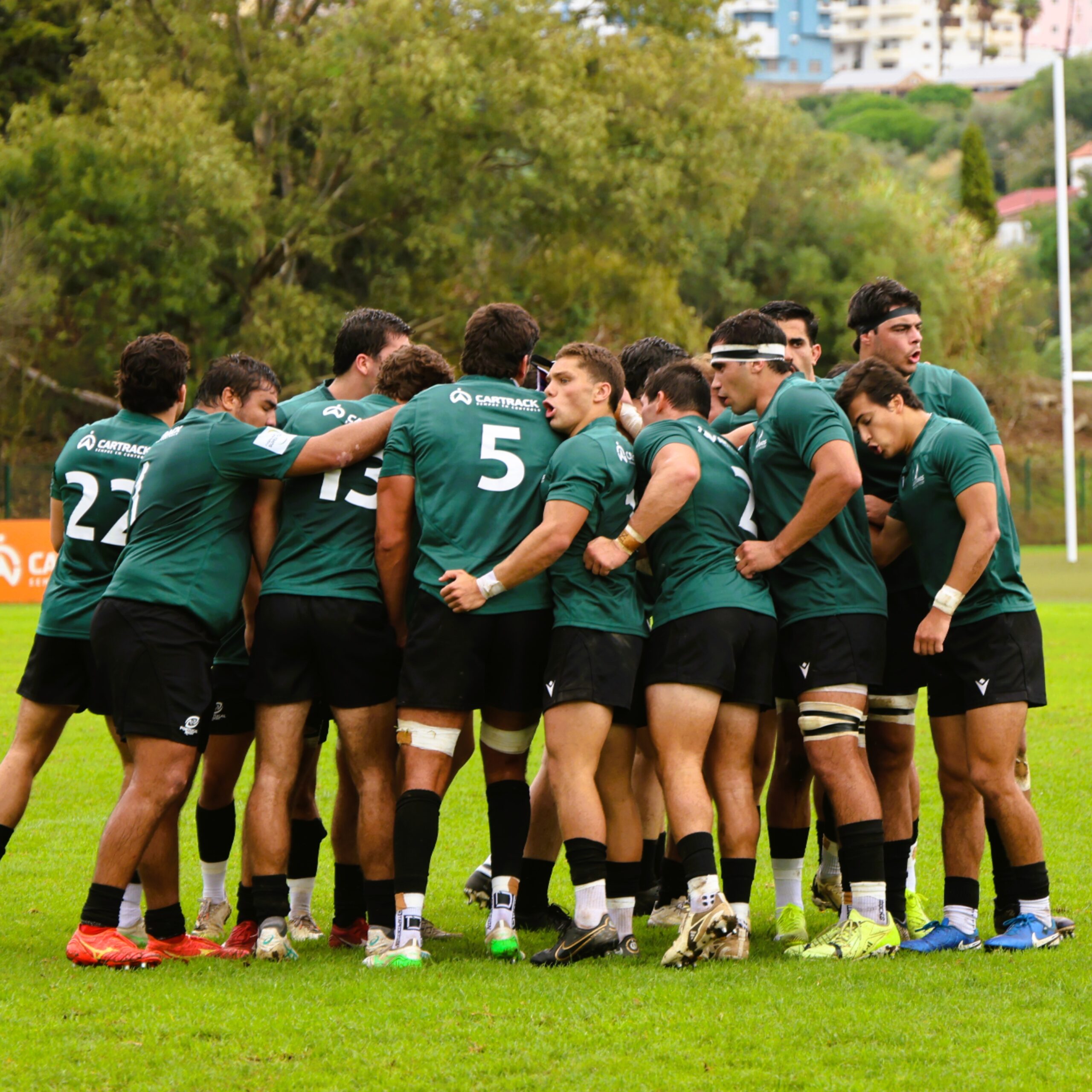 Portfolio Thumbnail Image