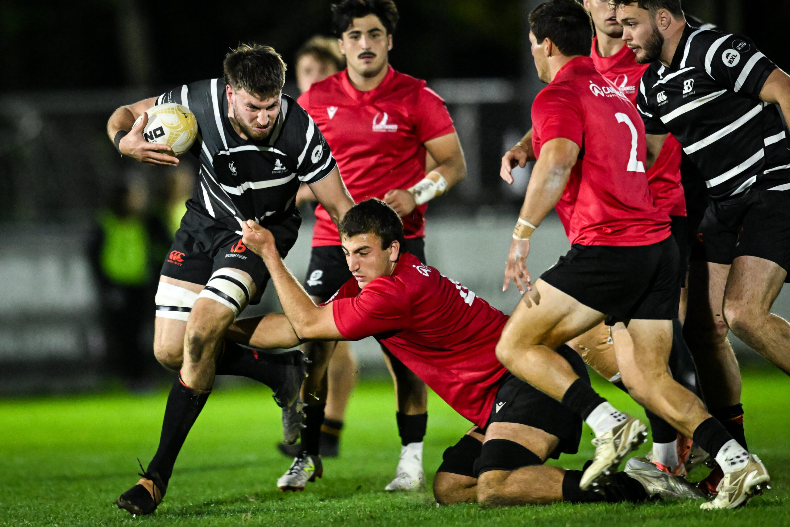 Portfolio Thumbnail Image