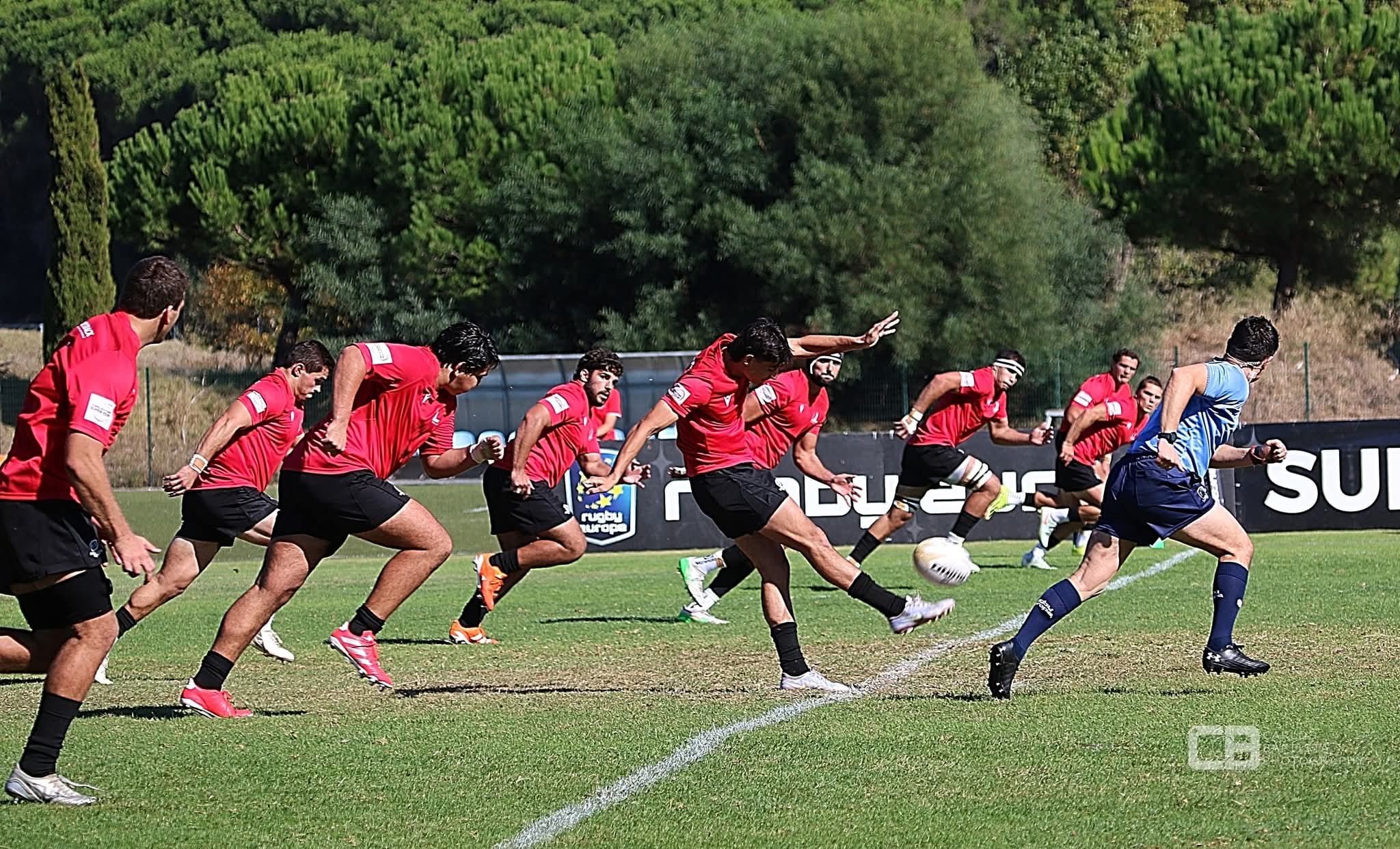 Portfolio Thumbnail Image