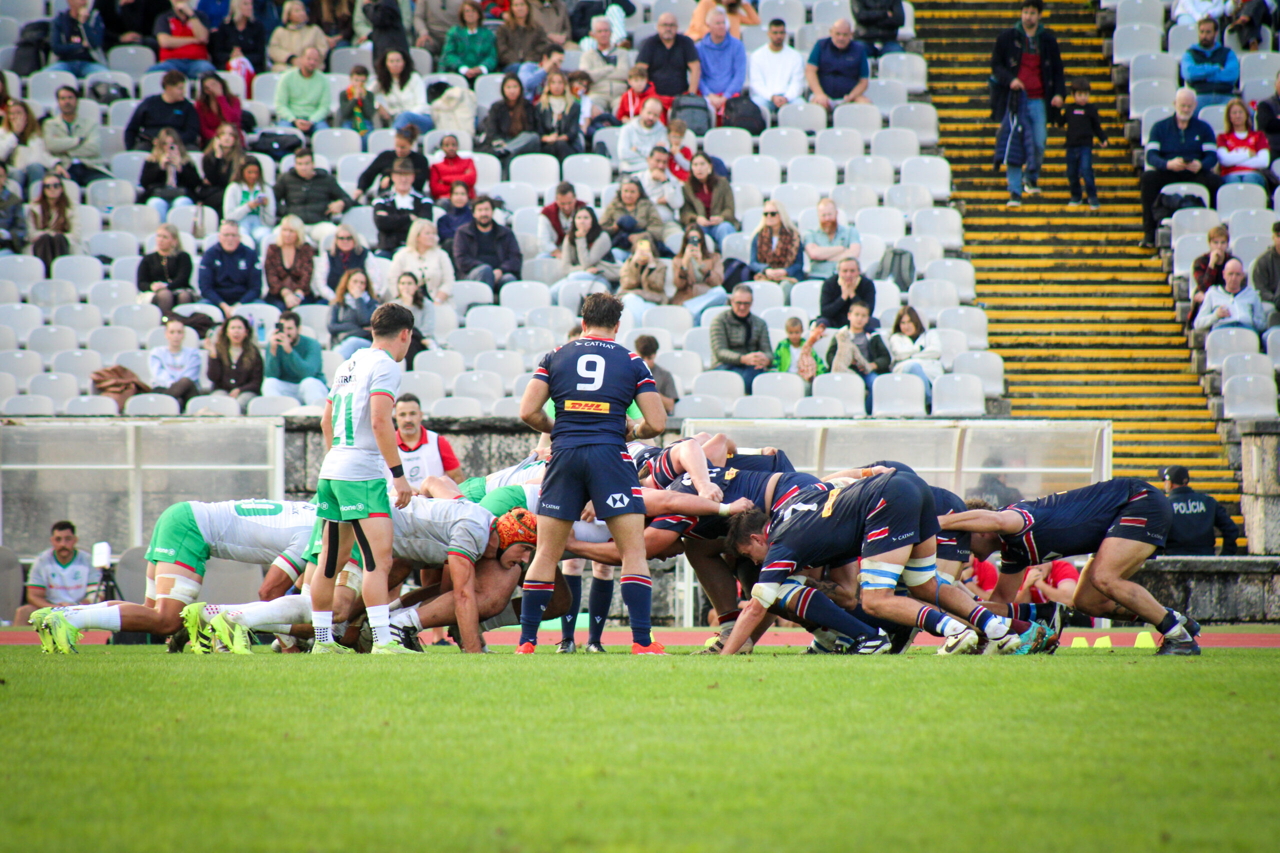 Portfolio Thumbnail Image