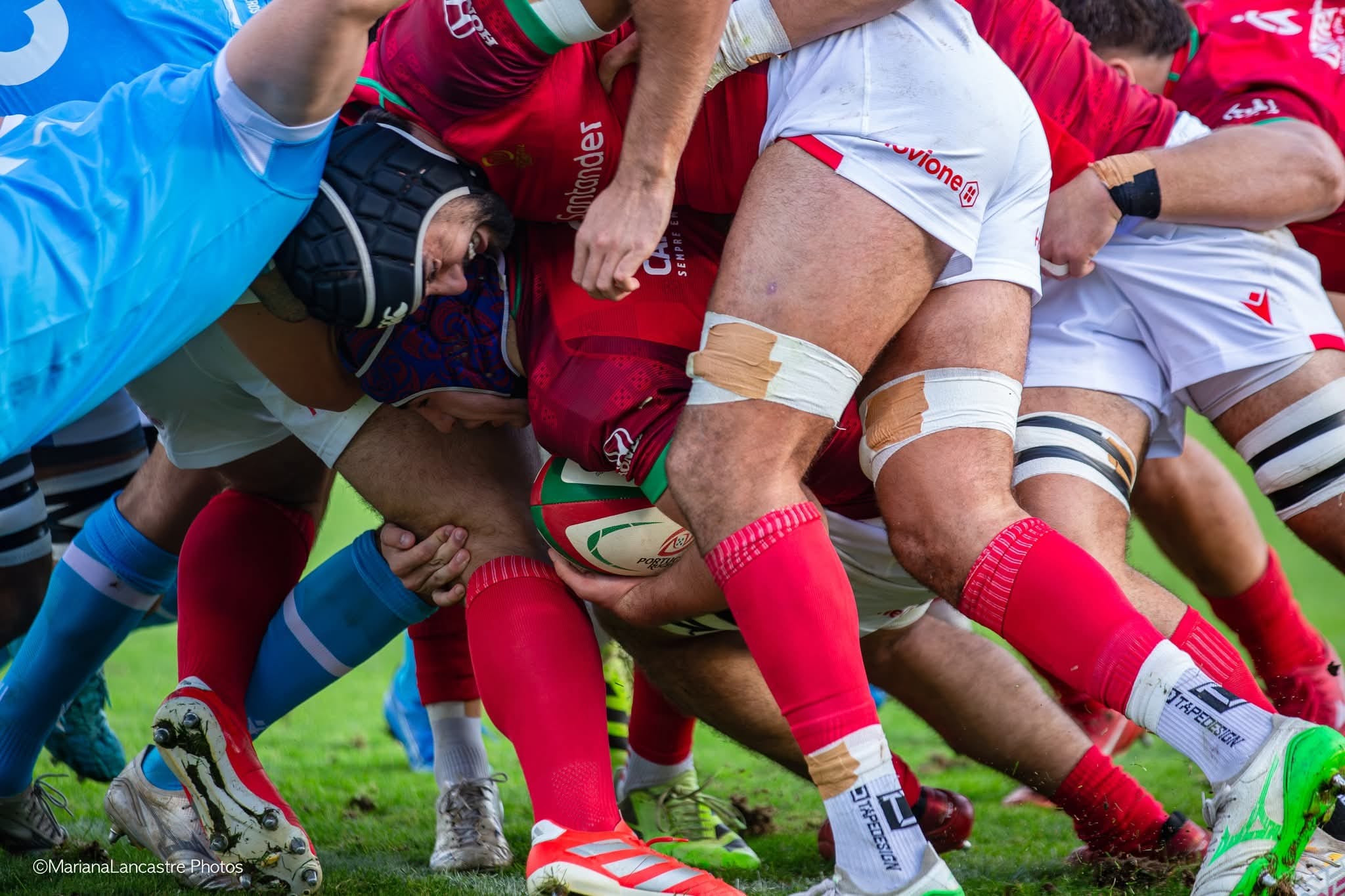 Portfolio Thumbnail Image